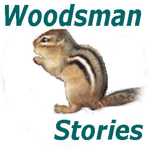 Woodsman Stories